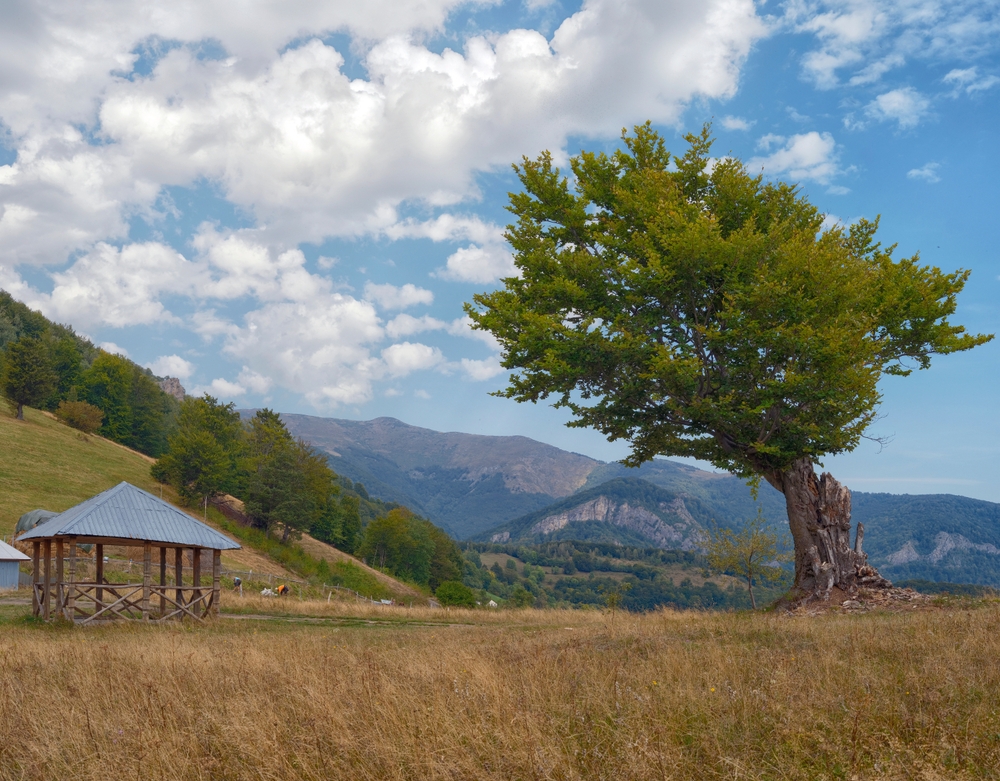 © Mikadun/Shutterstock