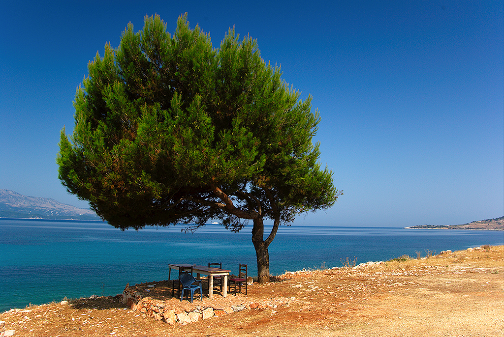 Caso-Diciotti-il-vuoto-accordo-tra-Italia-e-Albania