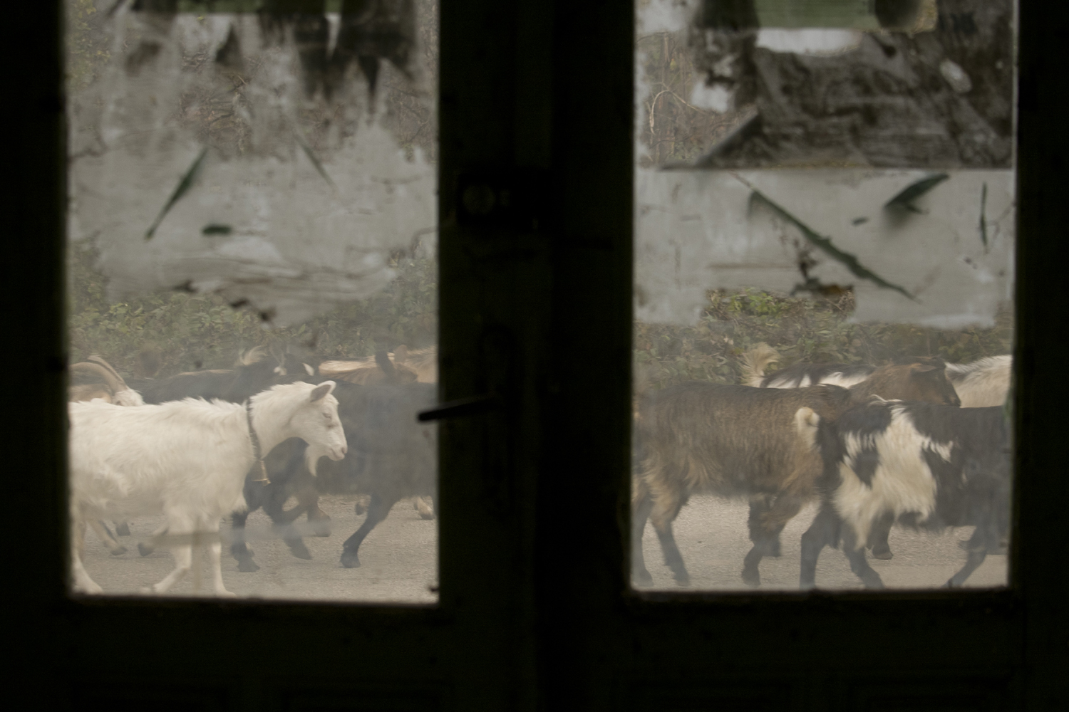 Gorna-Bela-Rechka13low