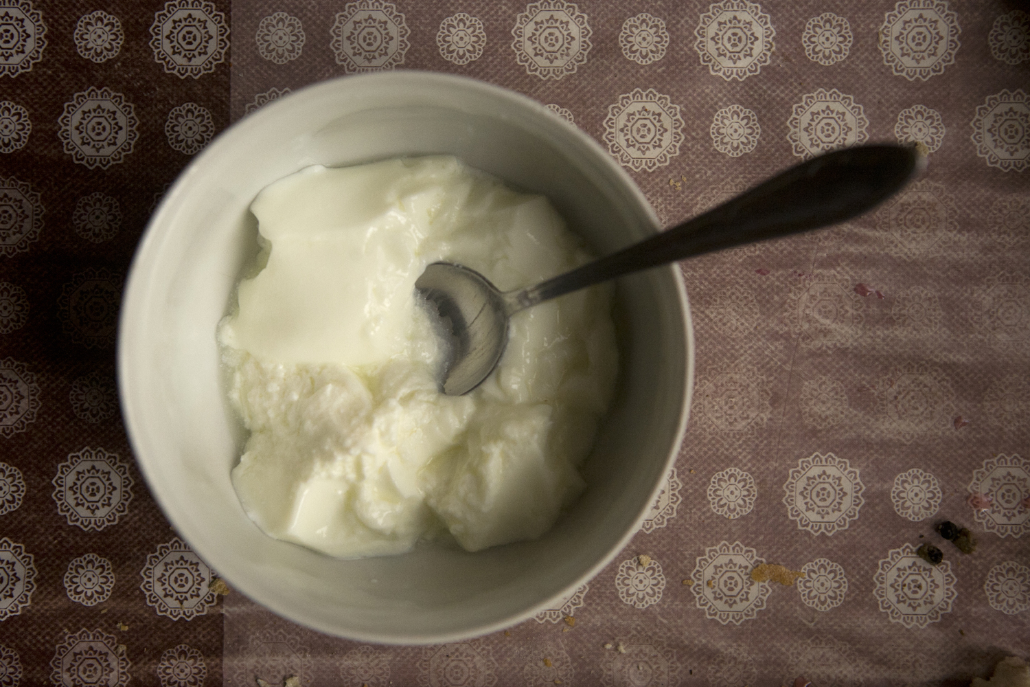 Gorna-Bela-Rechka16low