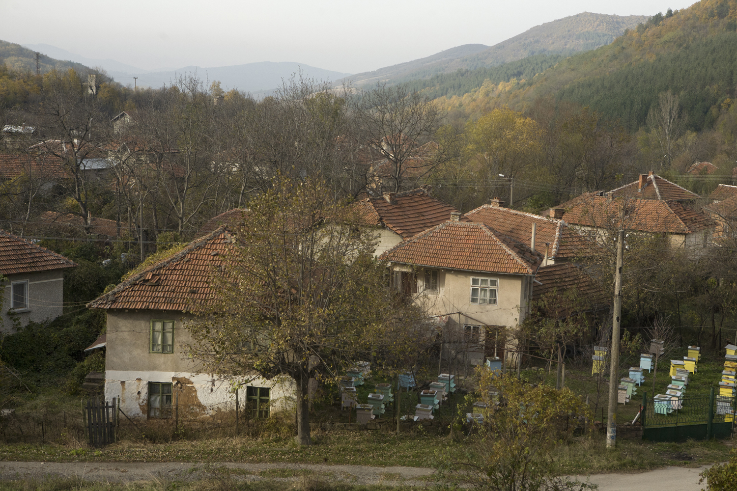 Gorna-Bela-Rechka19low