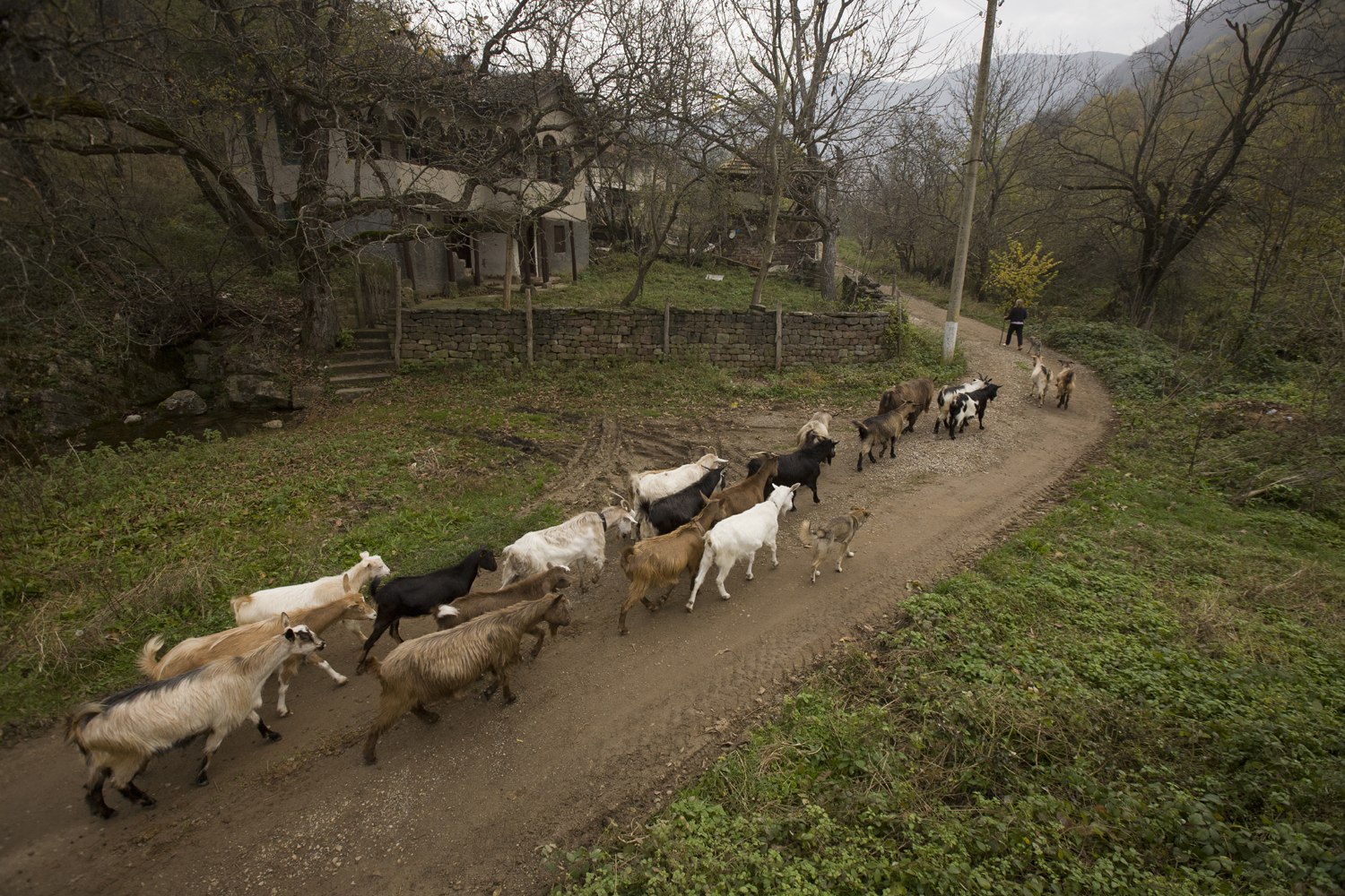 Gorna-Bela-Rechka26low