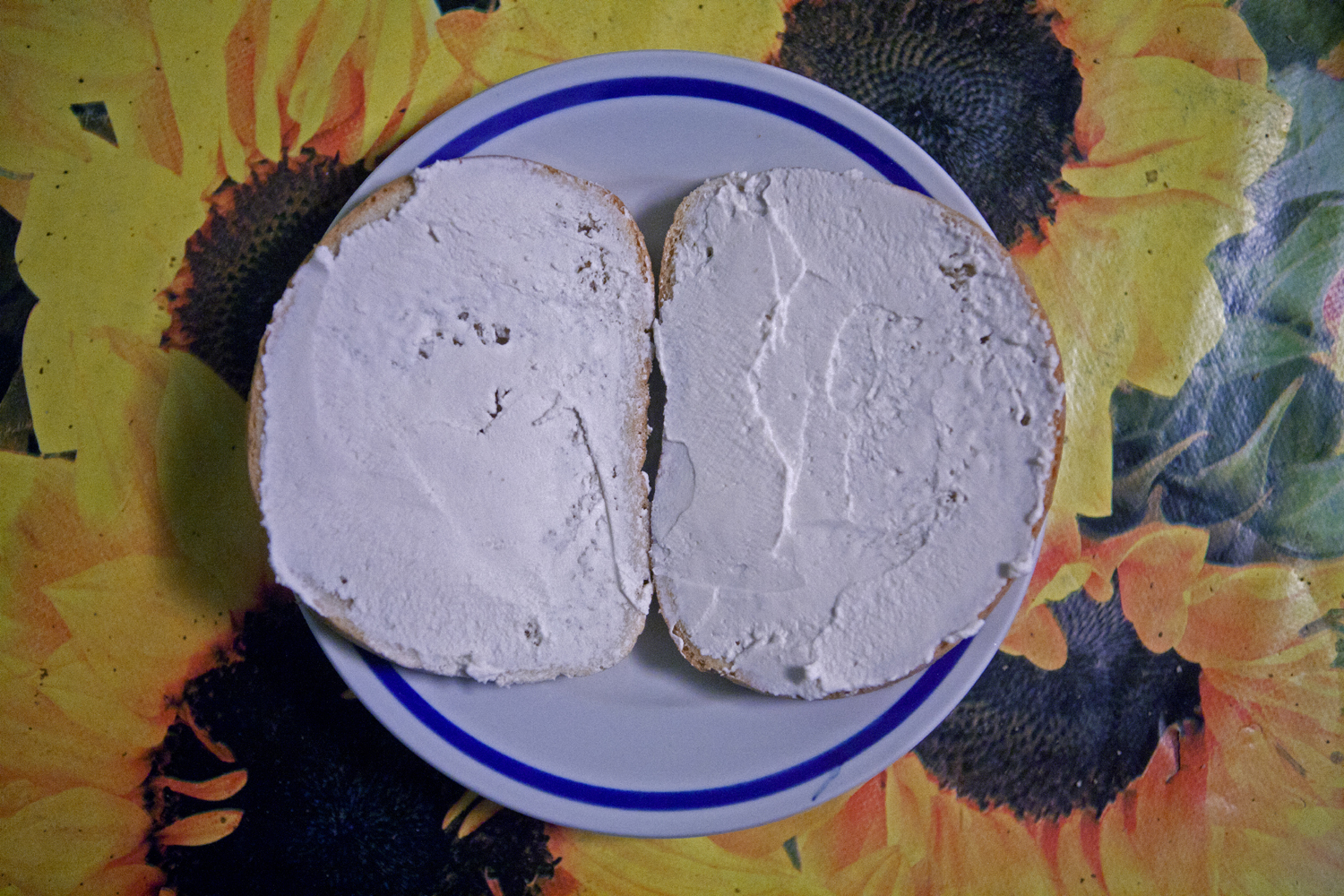 Gorna-Bela-Rechka8low