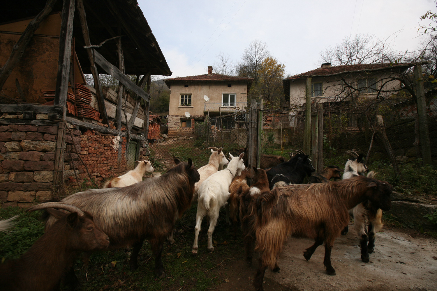 Gorna-Bela-Rechka9low