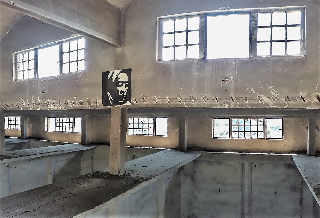 HAD-Collective-Visoko-11