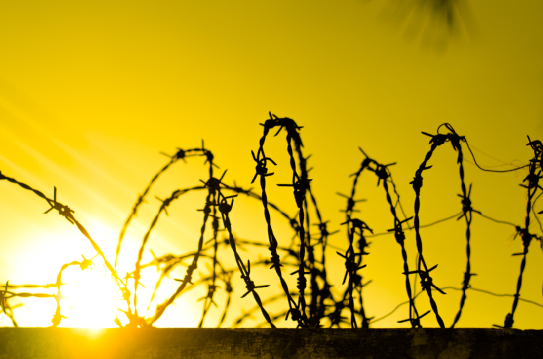 I-mercoledi-dei-diritti-umani-con-Amnesty-Marche