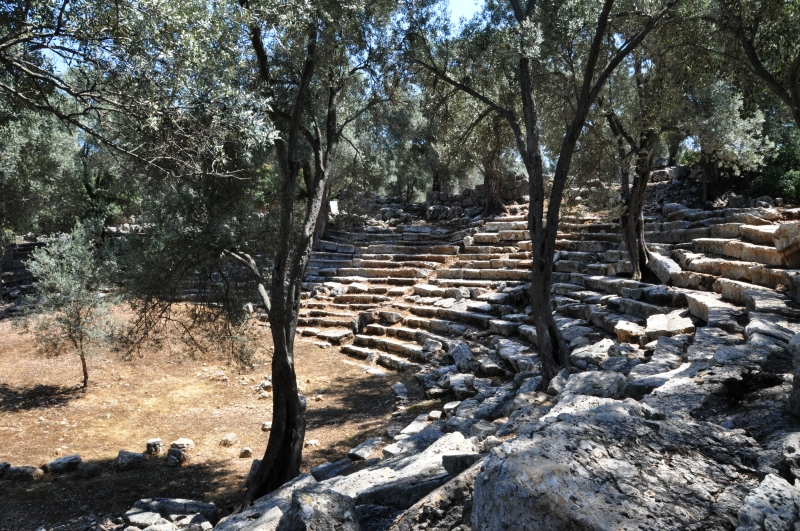 Il-teatro-antico-di-Sedir-Adasi-su-cui-crescono-gli-ulivi