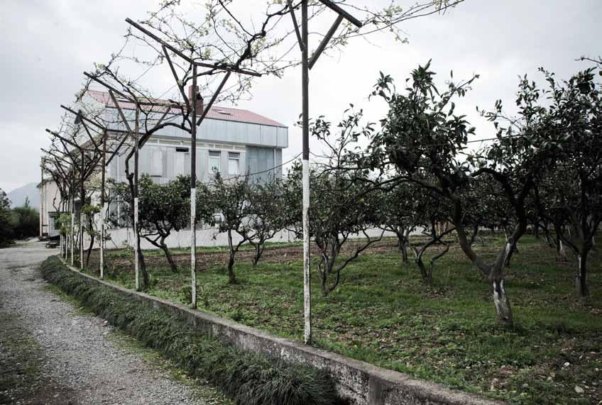 La-casa-della-speranza