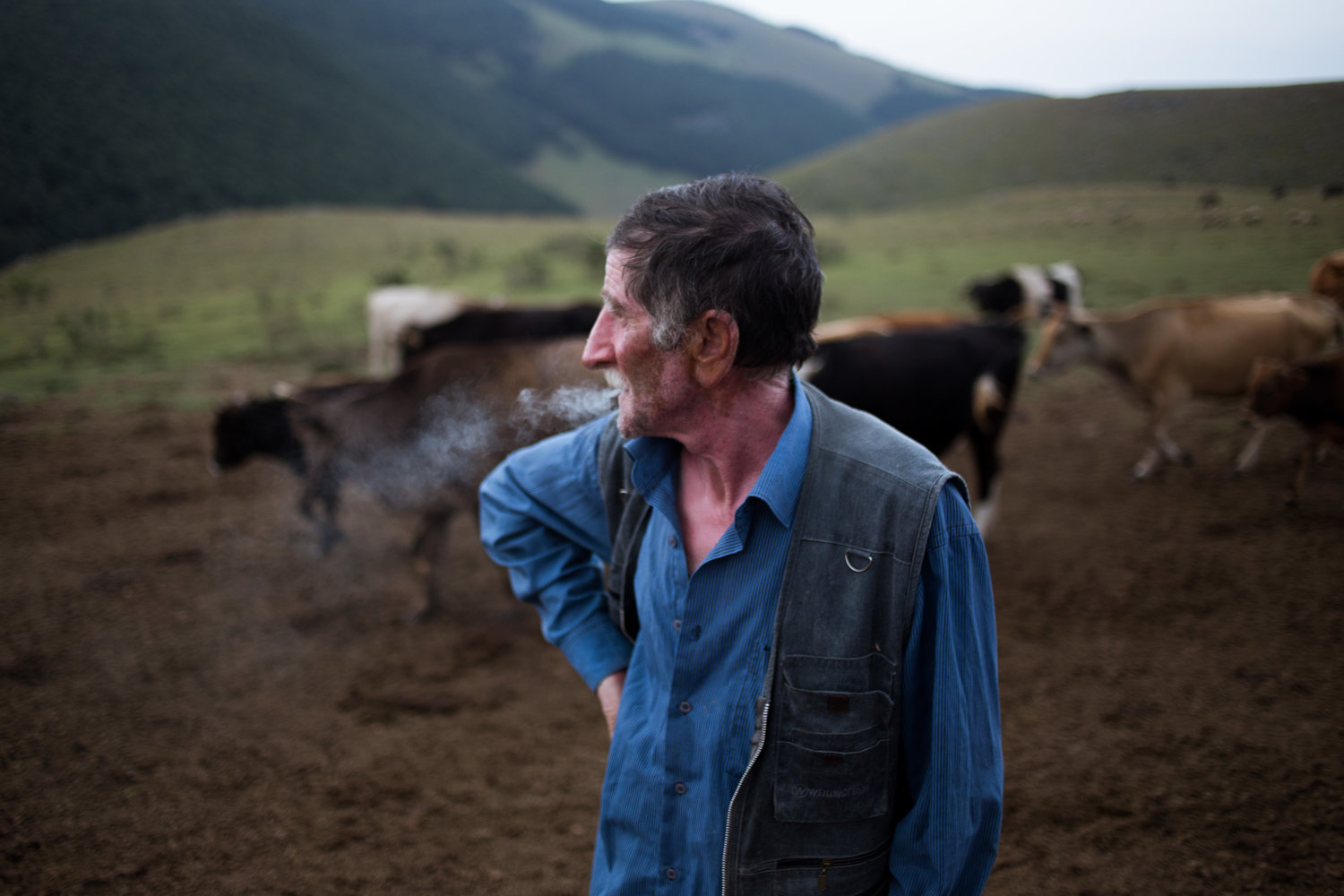 Pastori-in-Georgia-1