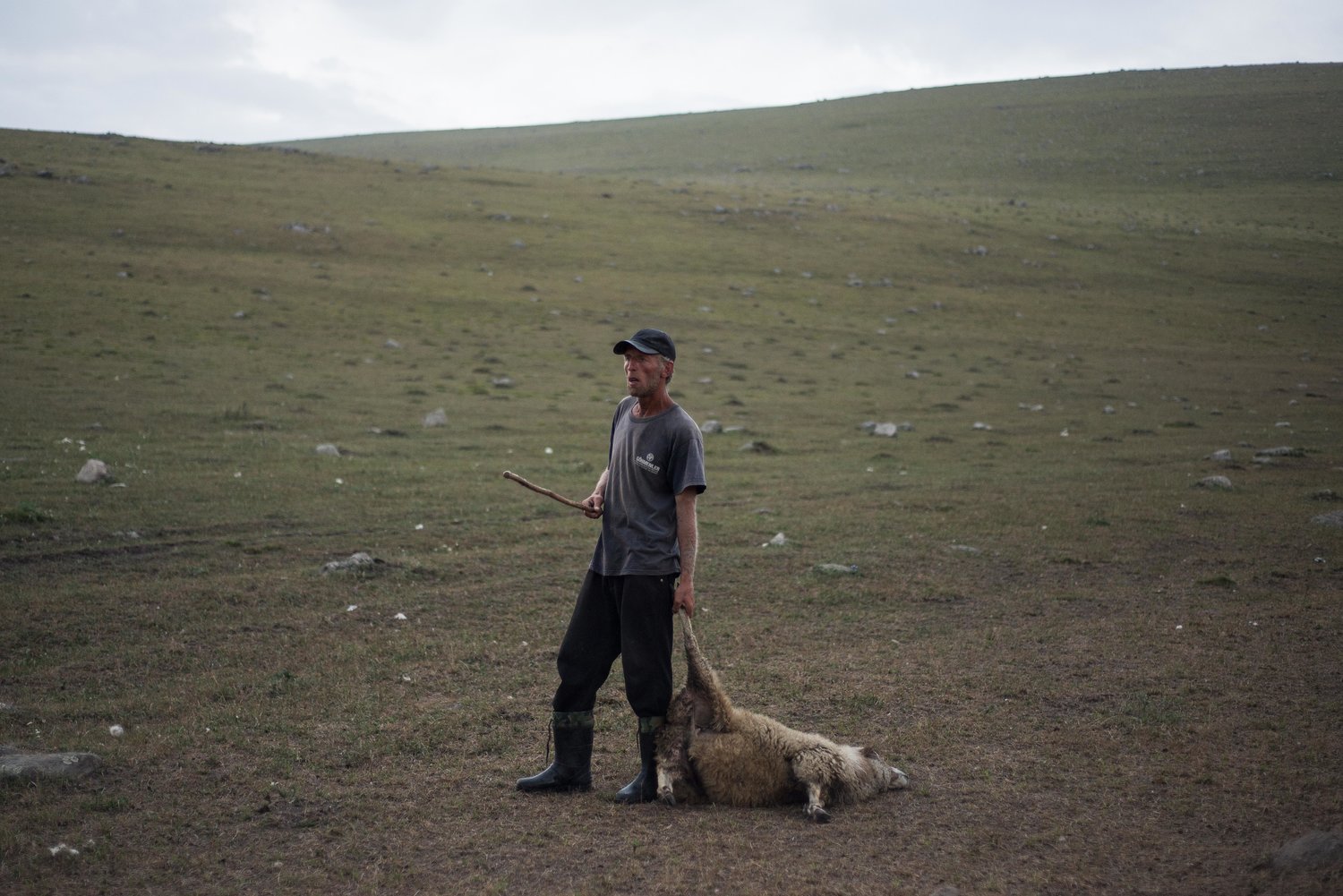 Pastori-in-Georgia-11