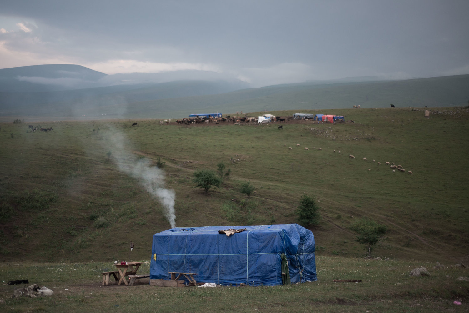Pastori-in-Georgia-12