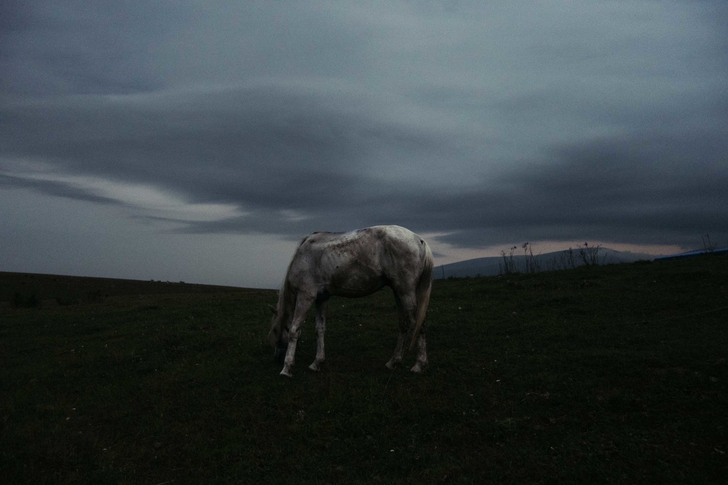 Pastori-in-Georgia-13