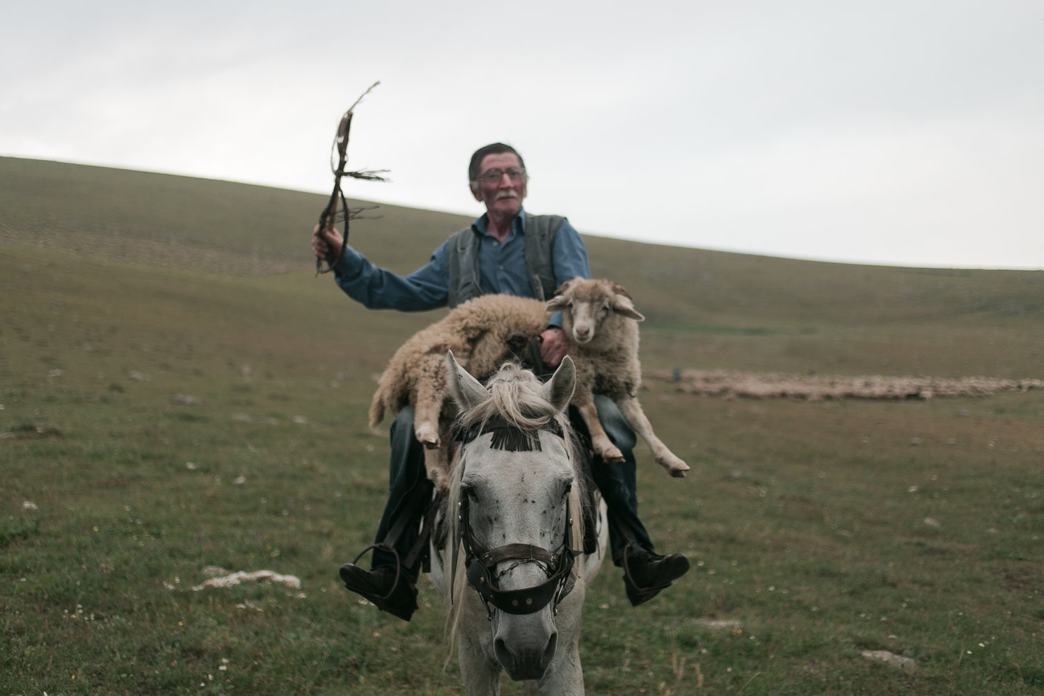 Pastori-in-Georgia-2