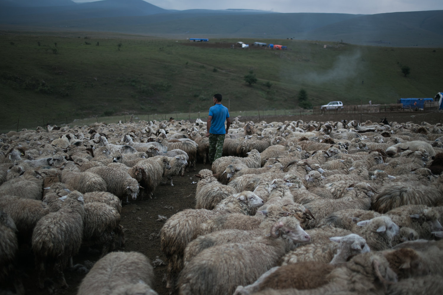 Pastori-in-Georgia-3
