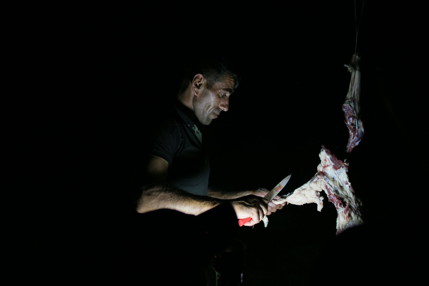 Pastori-in-Georgia-8