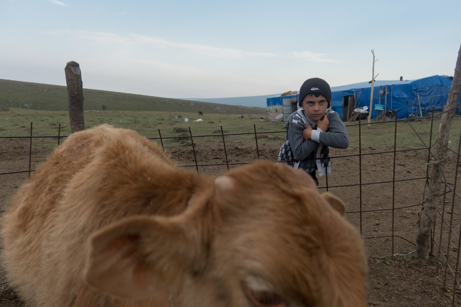 Pastori-in-Georgia-9