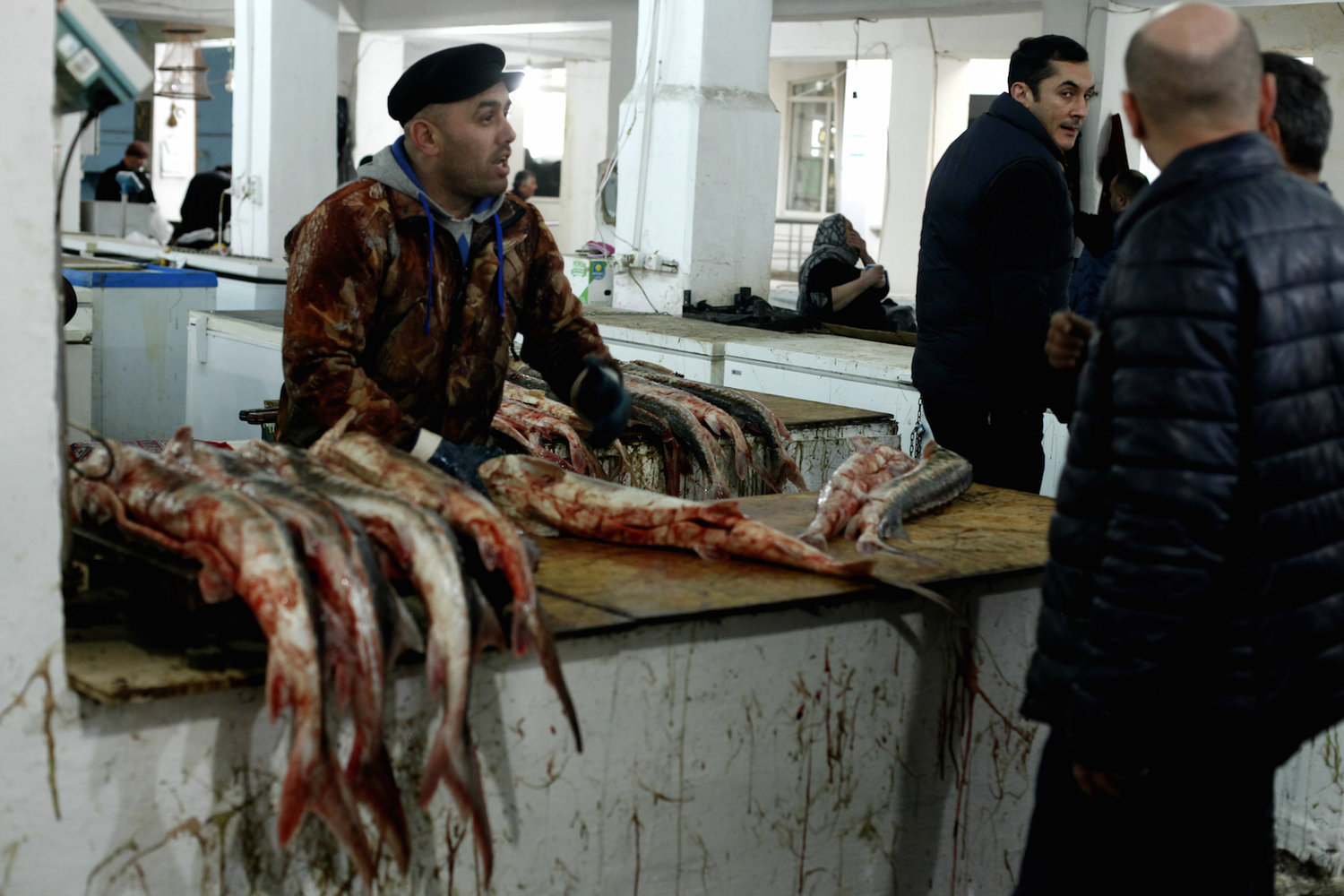 Preparativi-per-la-vendita