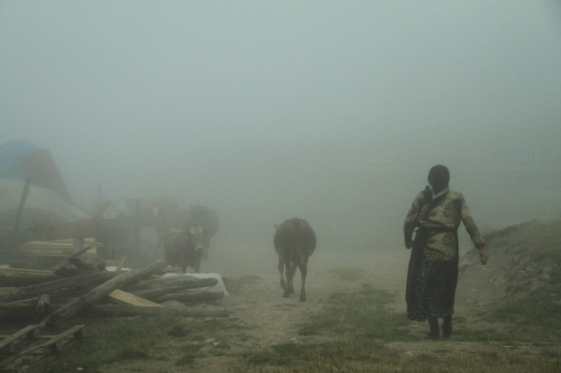 Schermata-2023-01-17-alle-12.08.17