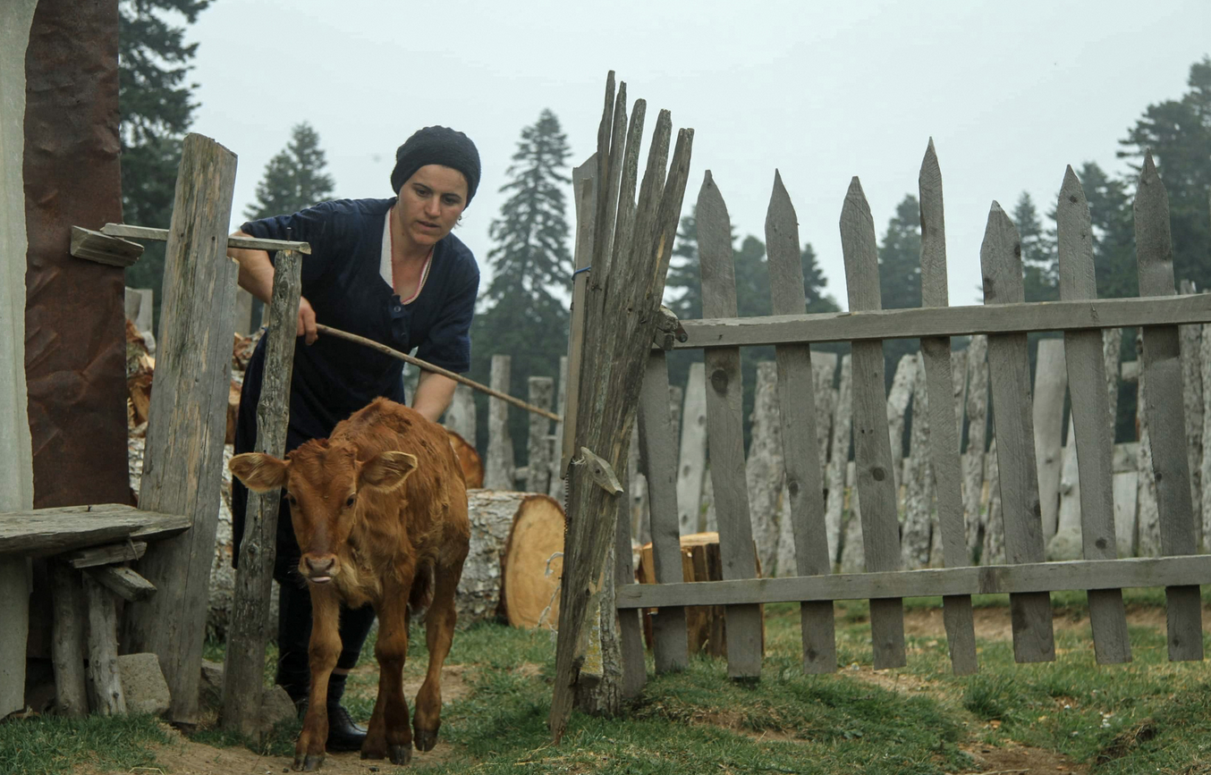 Schermata-2023-01-17-alle-12.08.35