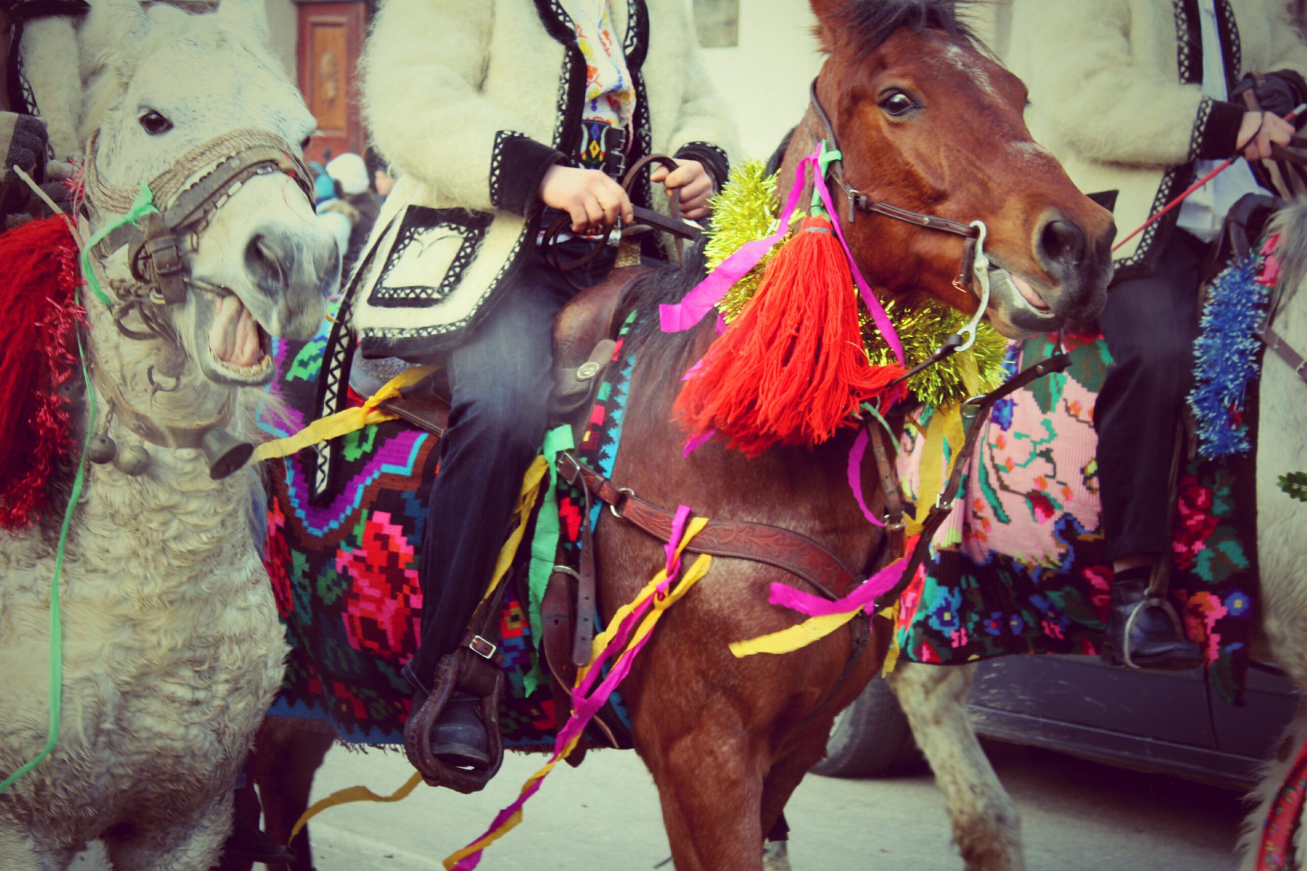 Sighet-il-festival-dell-inverno-35