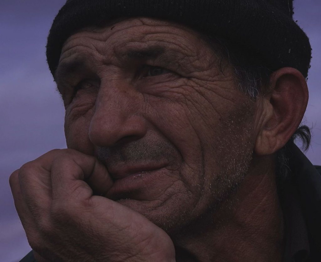 Trieste-Film-Festival-premio-OBCT-al-documentario-Looking-for-Horses