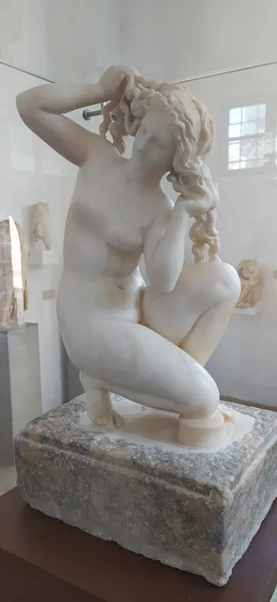 Venere rodia - Foto F. Fiori
