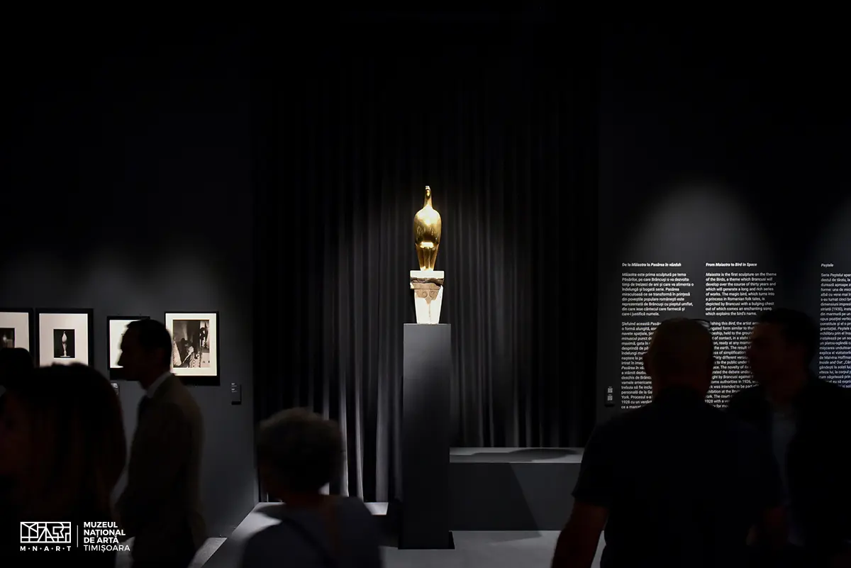 L'interno della mostra (foto Muzeul Național de Artă Timișoara)