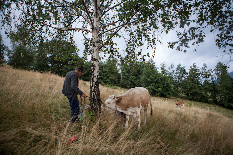 rural_romania_06-955c2