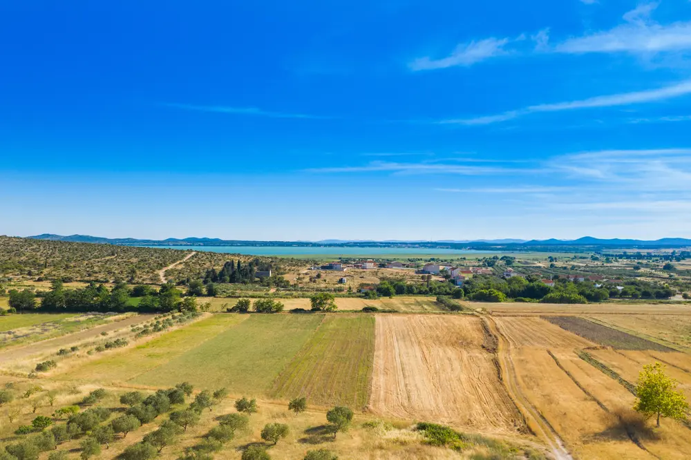 Simo-Matavulj-majstor-pripovijedanja