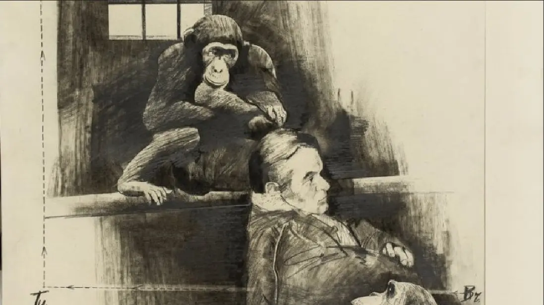 Crtez-vjerni-pratilac-sudbine-Mice-Popovica