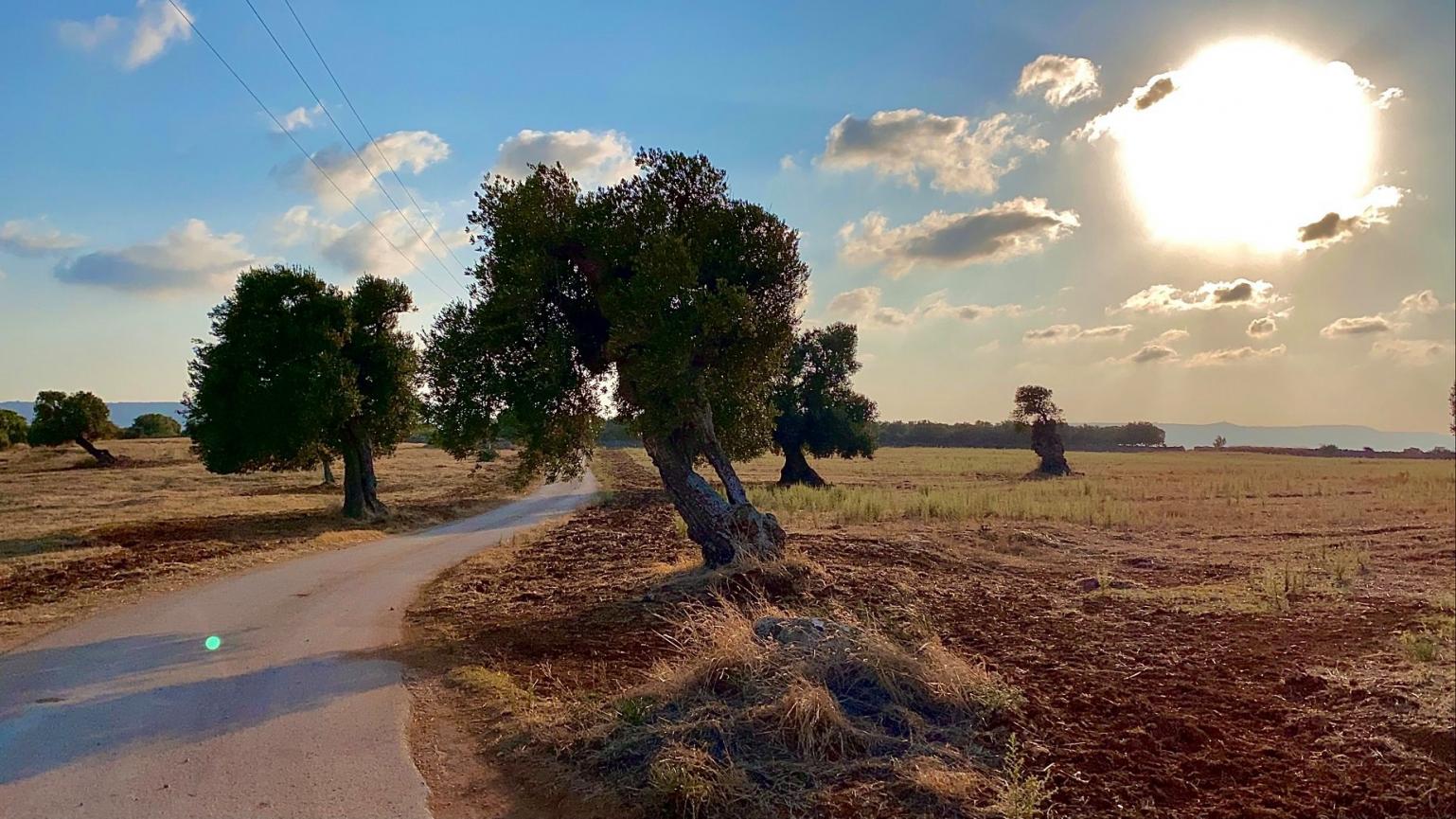 Adriatico-del-sud-innovare-connettere-e-crescere-in-modo-sostenibile