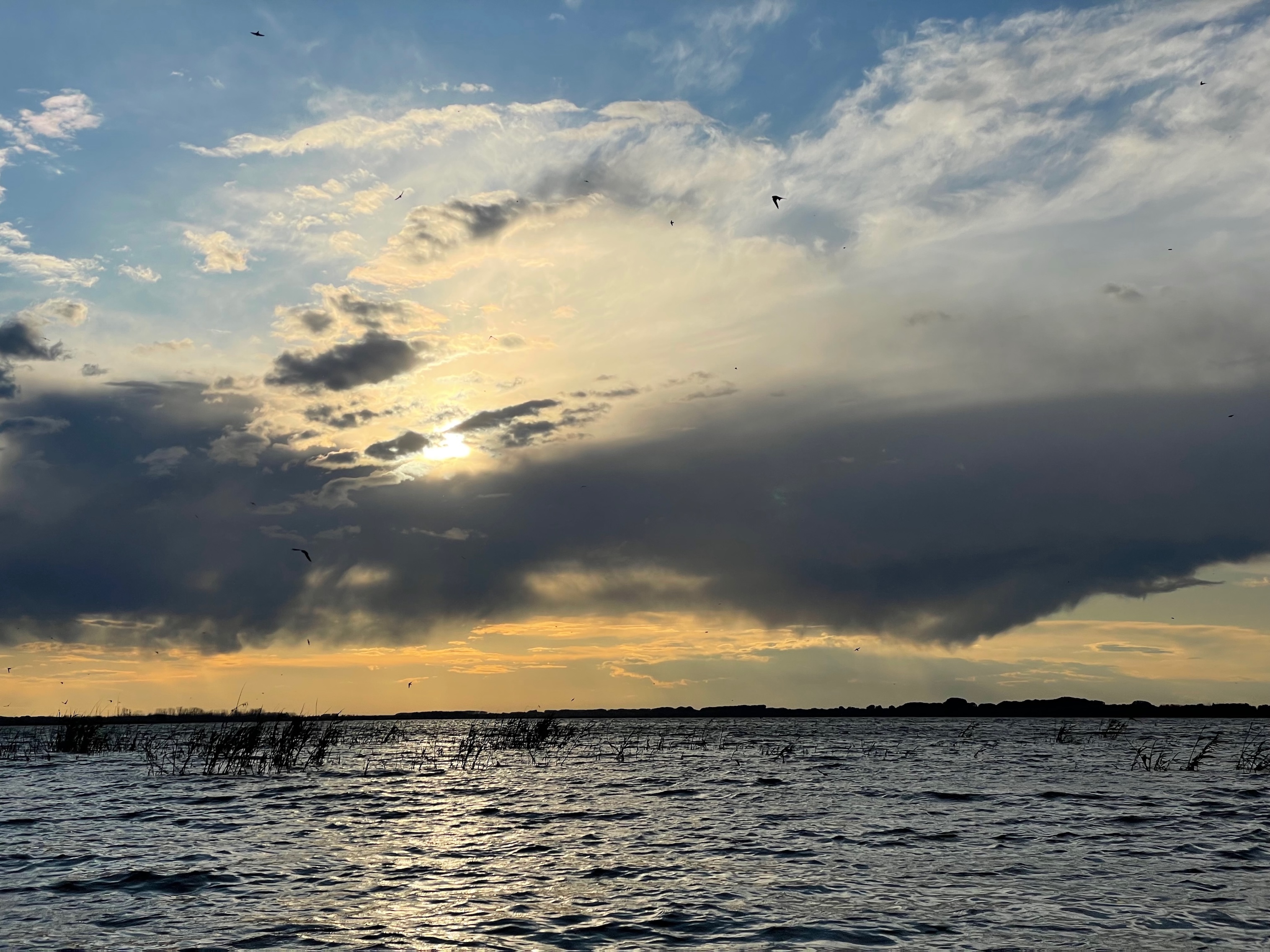 Delta-del-Danubio-tra-sfide-ambientali-turismo-in-crescita-e-comunita-in-bilico