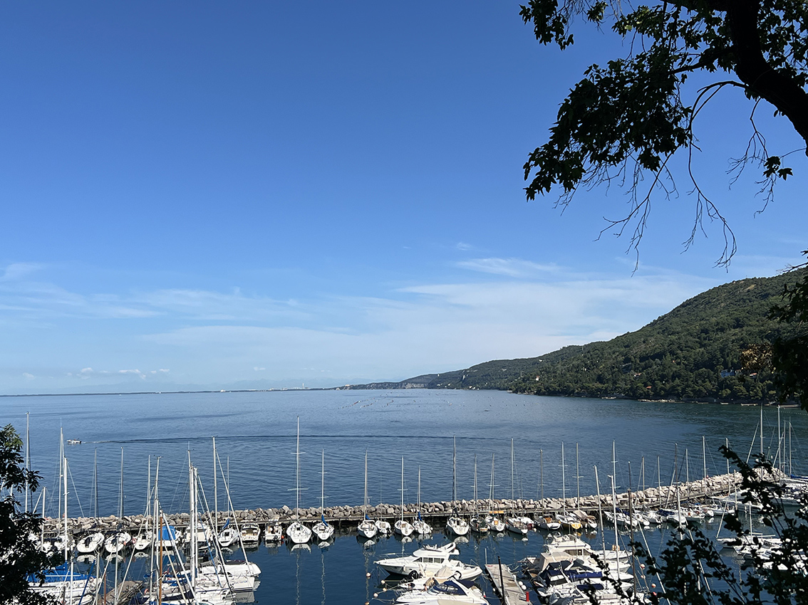 Mare-Adriatico-culla-incustodita-di-biodiversita