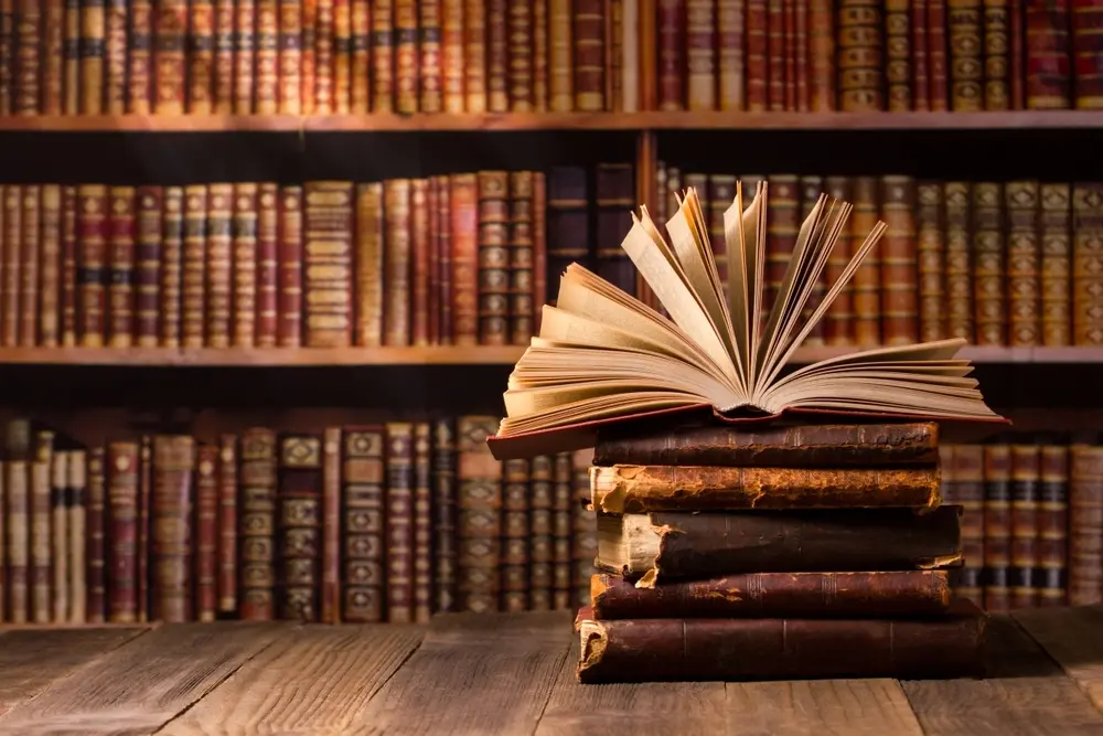 Ned-il-figlio-del-mercante-di-seta