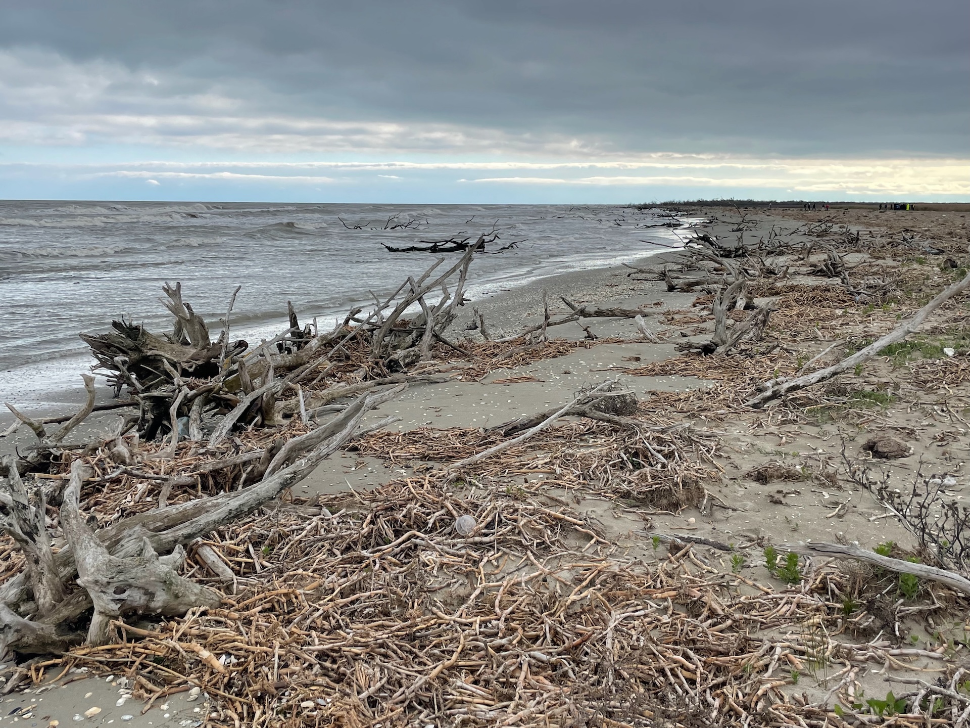 Sand-wind-concrete.-Romania-faces-up-to-coastal-erosion