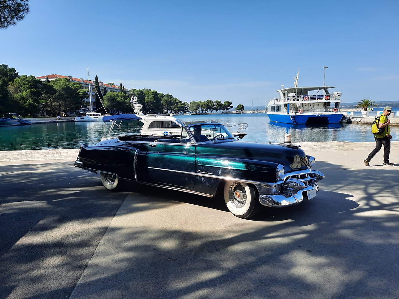 Brioni, Croazia - Foto G. Vale