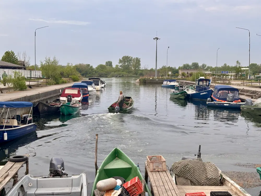Pescatori in partenza per la pesca, Sfântu Gheorghe, Tulcea - foto Matei Bărbulescu