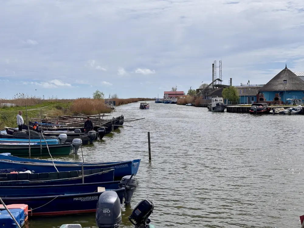 Vista dal porto di Jurilovca, Tulcea, Delta del Danubio - foto Matei Bărbulescu