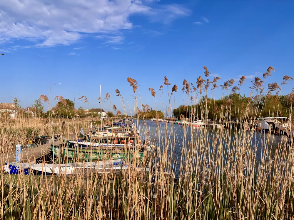 Vista del porto di Sfântu Gheorghe, Delta del Danubio - foto Matei Bărbulescu