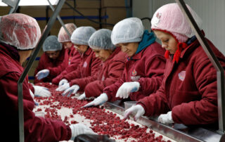 Operaie della Cooperativa Insieme di Bratunac © foto di Mario Boccia