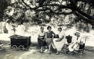 Alessandrine al parco (foto dominio pubblico/wikimedia)