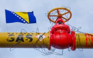 Illustrazione © Fly Of Swallow Studio / Shutterstock