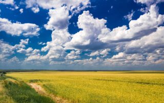 La regione di Kherson, Ucraina © Maksimenko Taras/Shutterstock
