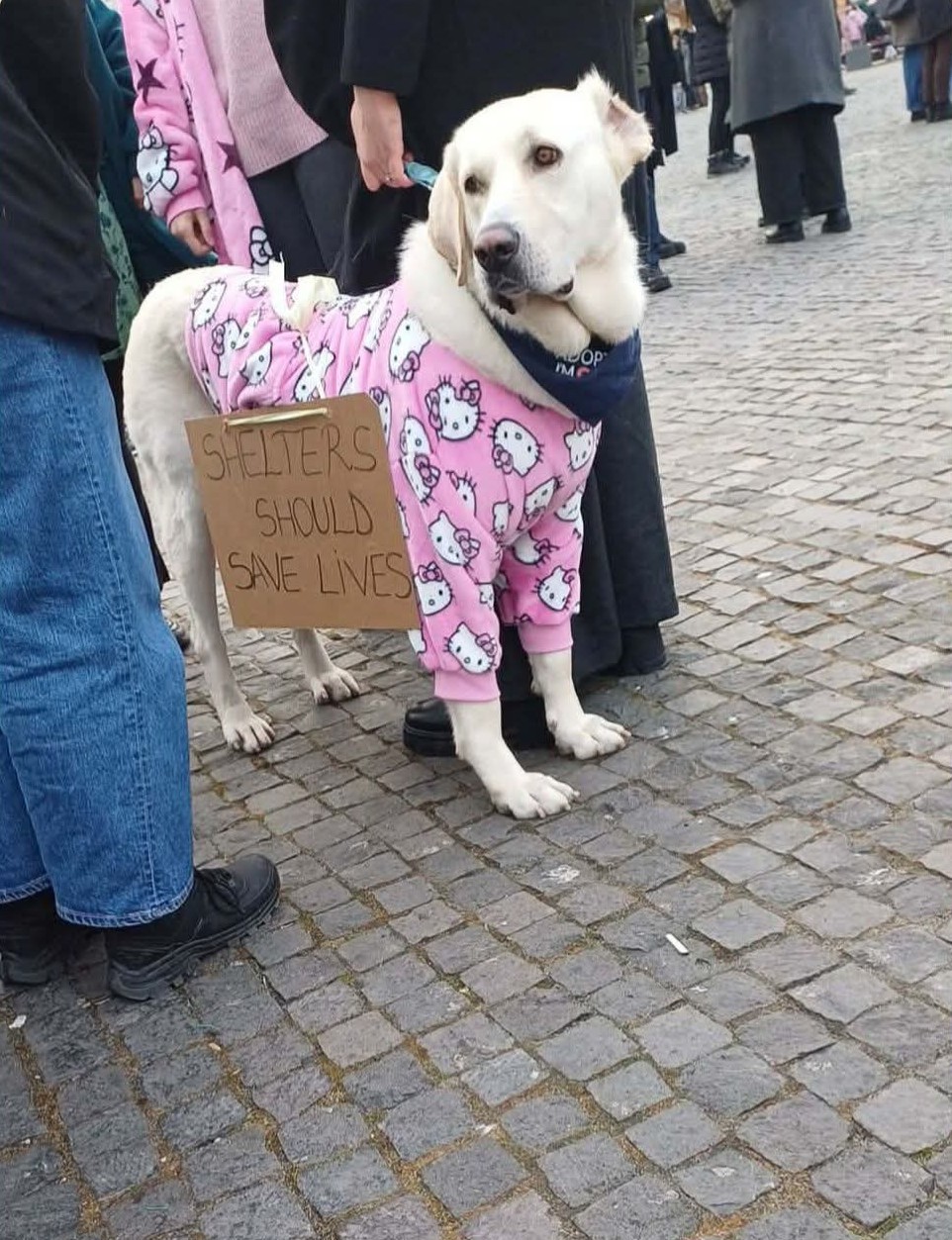 Durante le proteste a Bucarest, Romania, il 22 febbraio 2026 - Foto Raluca Led