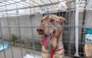 Bucarest, Romania © Buda Bogdan/Shutterstock
