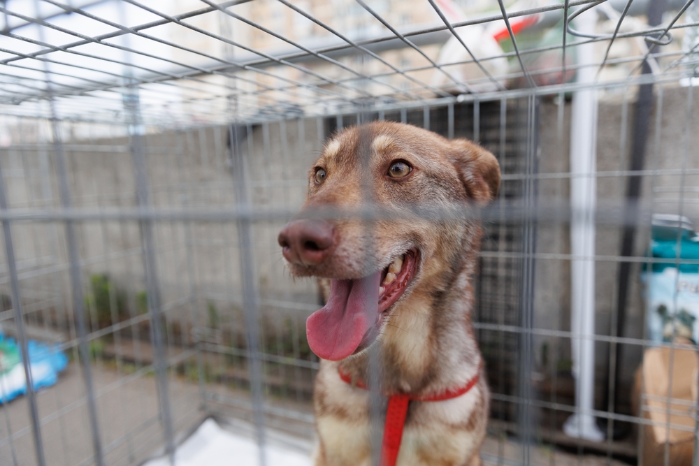 Bucarest, Romania © Buda Bogdan/Shutterstock