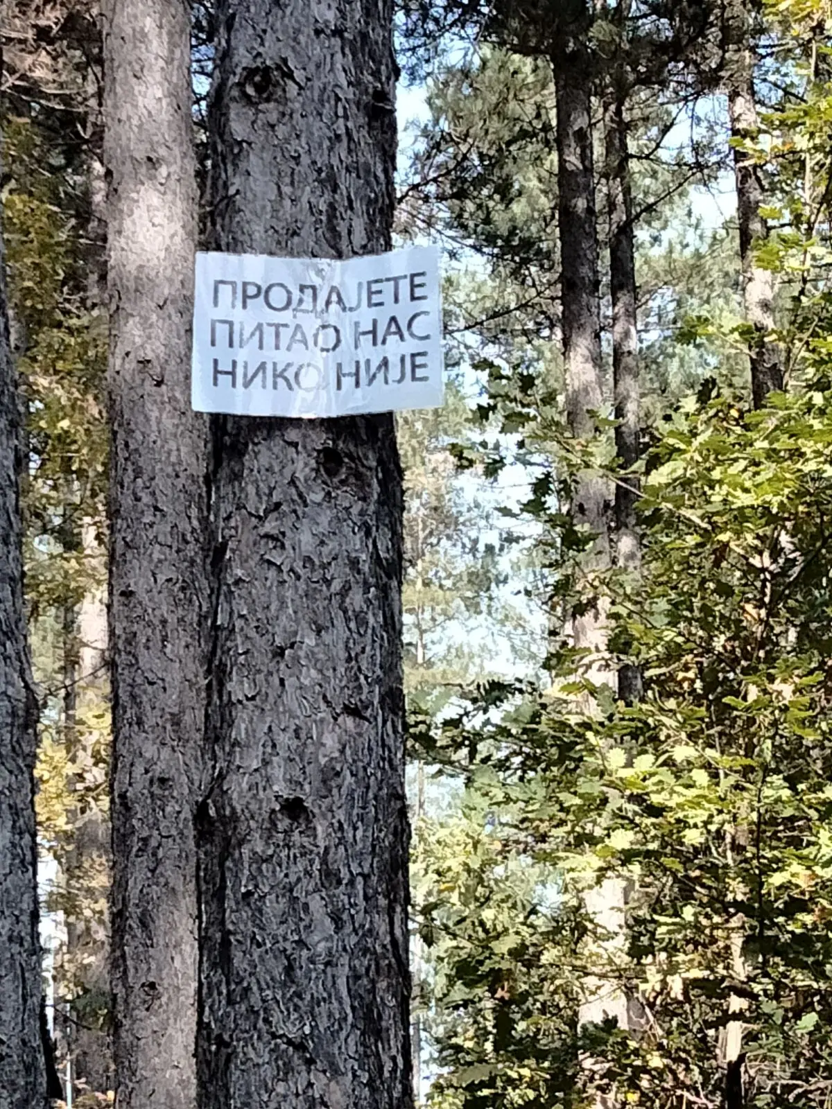 Sign in the woods on Mt. Gostilj, Ozren - 'You're selling, but no one asked us'- photo P. Lippman