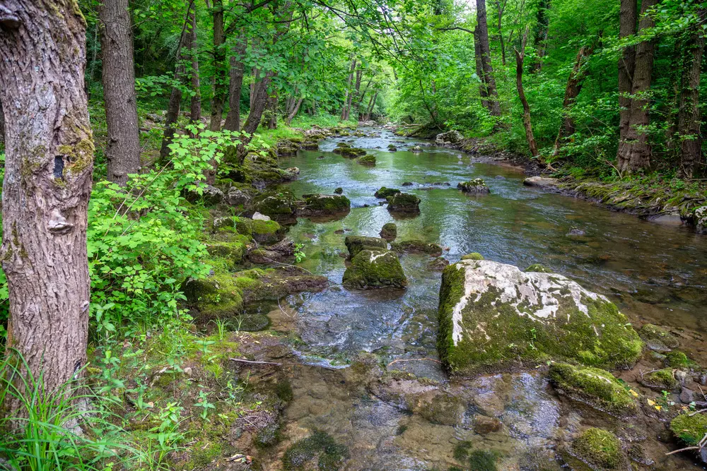 Ozren mountain, Bosnia and Herzegovina © serato/Shutterstock