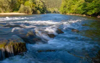 Il fiume Kupa, dove sono stati recuperati di recente alcuni corpi - Goran_Safarek/Shutterstock
