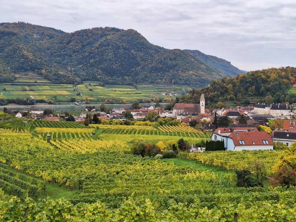 8_Wachau_Desislava Mincheva Wachau Region, an example of a shared territorial identity. Photo credit: Desislava Mincheva-Yordanova / NTC BG Guide, Danube Ruralscapes
